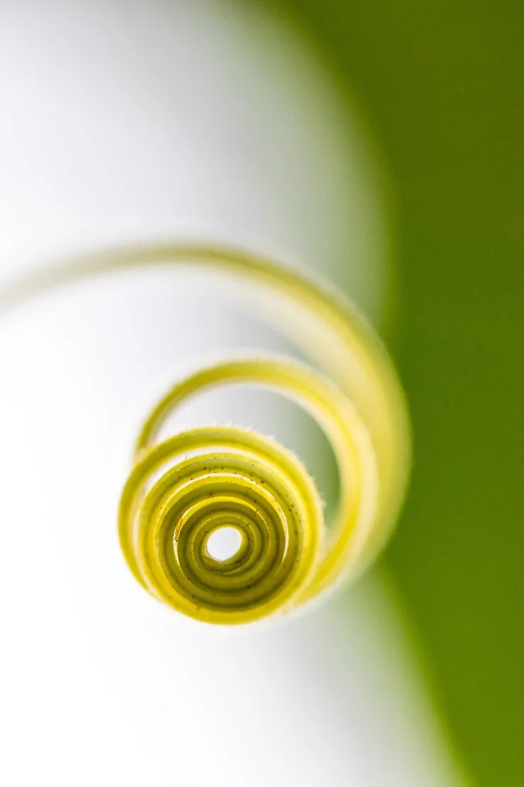 micro-plant-stem_417767-90